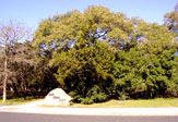 Oak View Park next to Caraway Elementary