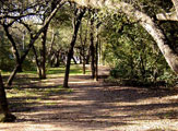Oak View Park hiking trail