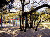 Oak View Park playscape